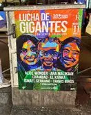 cartel de un concierto de una ong benefia en madrid